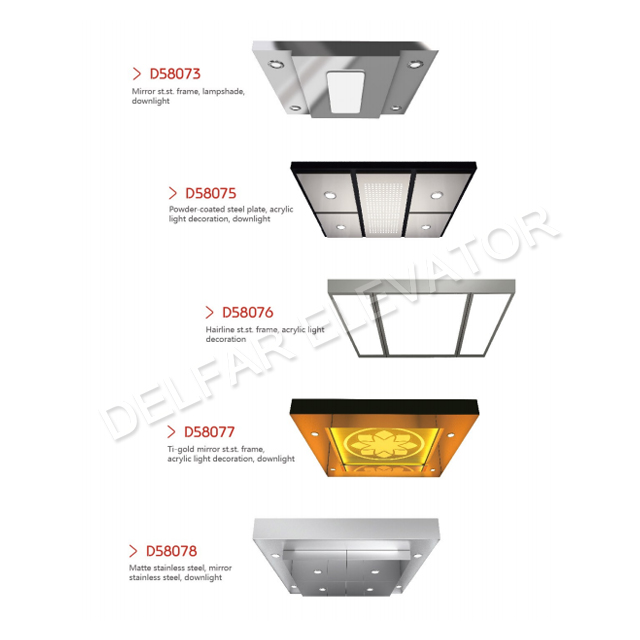Delfar Simple Home Elevator D18679
