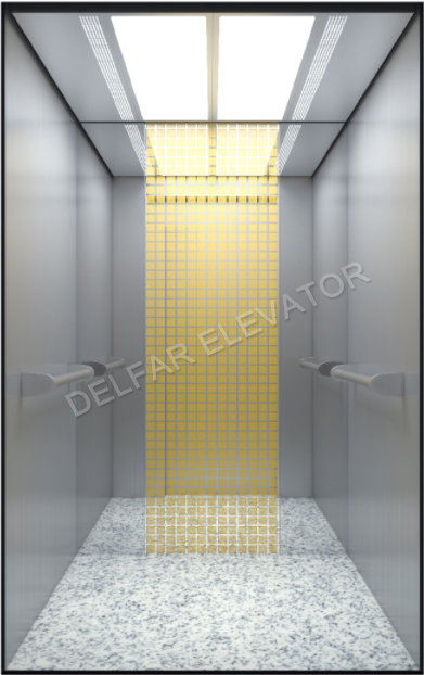Building Passenger Elevator