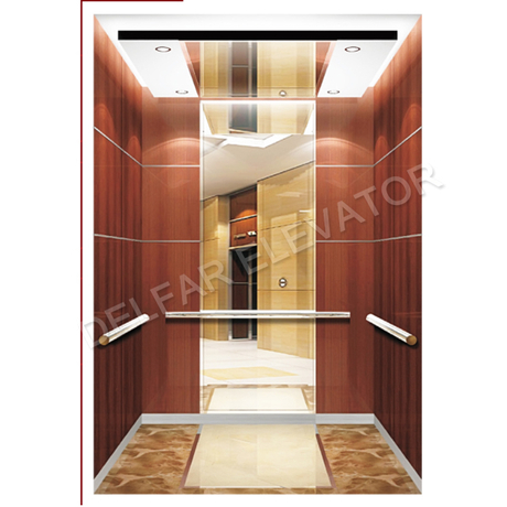 VVVF Customized Home Elevator for Villa