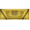 800KG Capacity Ti-gold Luxury Decoration Passenger Elevator