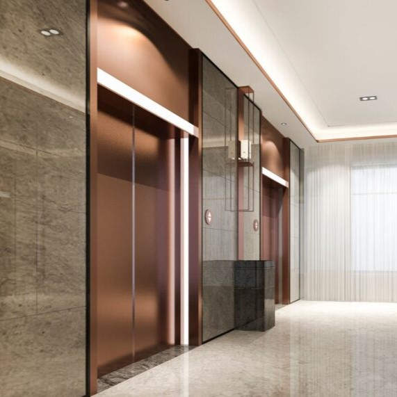 The Core Economic Advantages of Choosing Delfars MRL Elevators-Delfar5