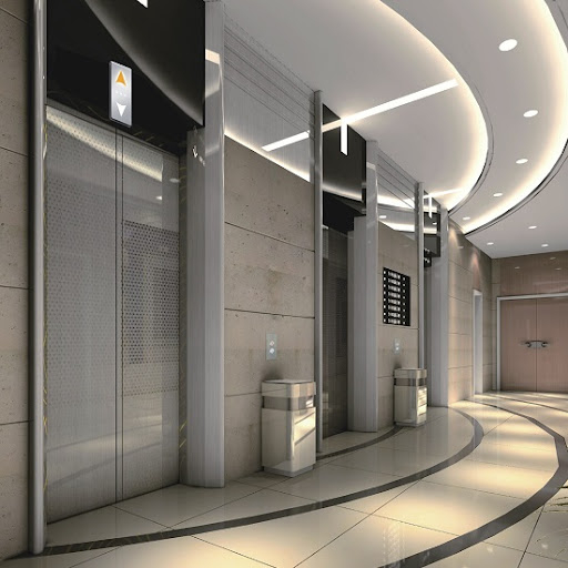 The Core Economic Advantages of Choosing Delfars MRL Elevators-Delfar4