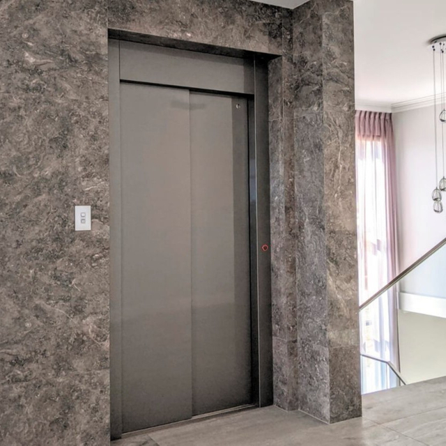 Passenger Elevator-Delfar6