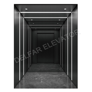 Delfar Simple Home Elevator D18679
