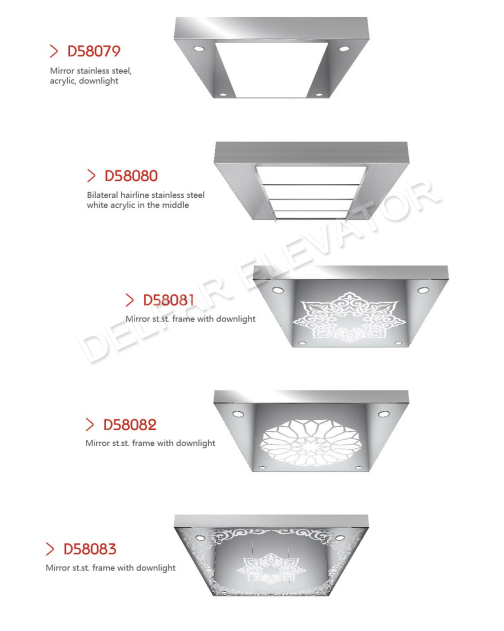 Delfar Decorated Home Elevator