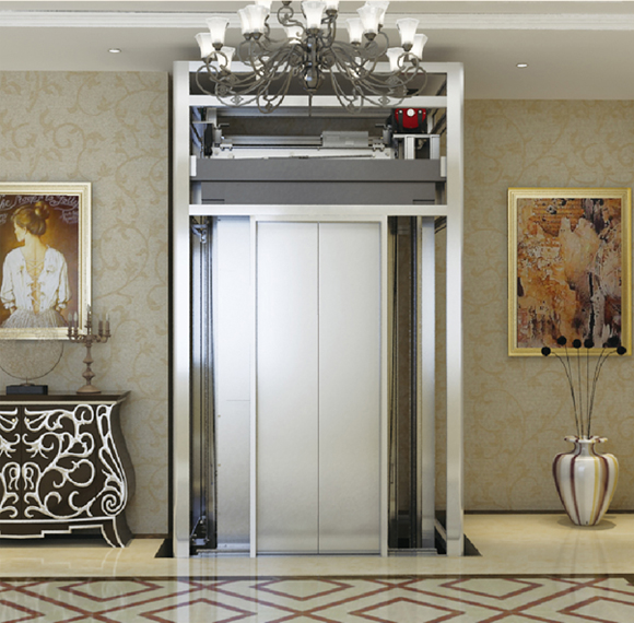Comfortable experience Home Elevator Manufacturer-Delfar