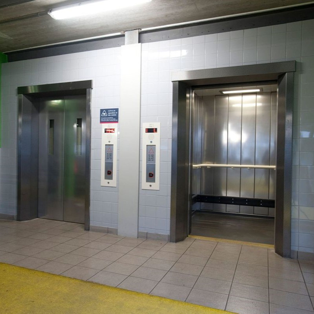 Heavy Duty Elevator Manufacturer & Supplier in China-Delfar4