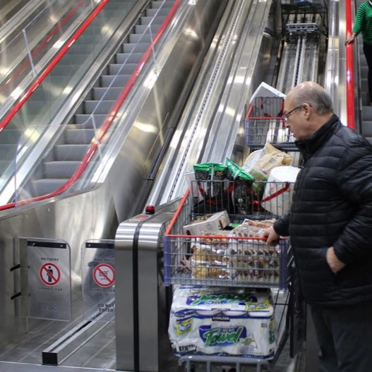 Shopping Cart Escalator Manufacturer & Supplier in China-Delfar4