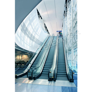 Escalator economical price for sale auto start 