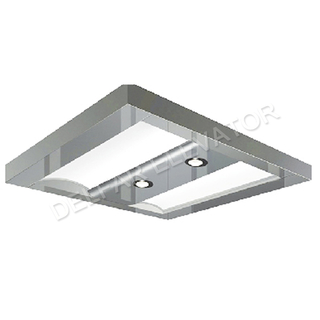 Hot Selling Lift Car Ceiling For Passenger Cabin With LED Light D58051