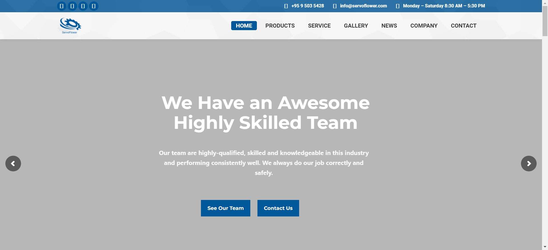 Servoflower - elevator company in myanmar - Delfar