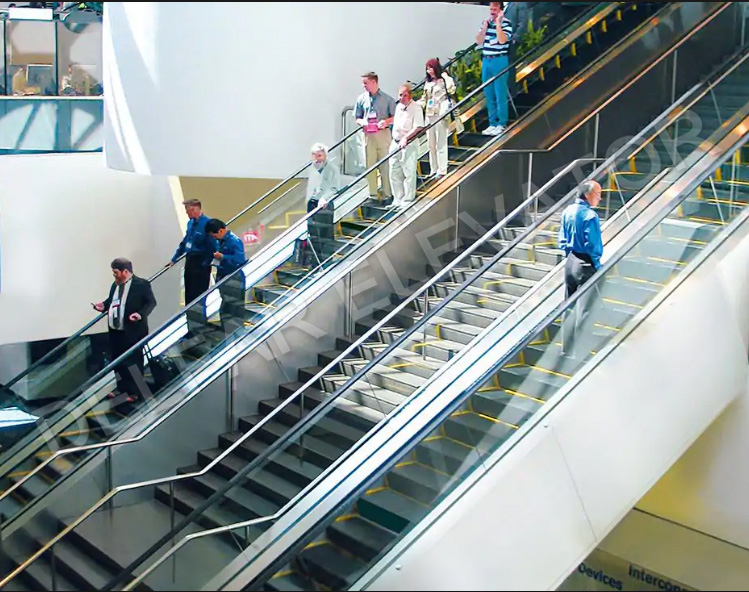  30° Escalator with Handrail Illumination