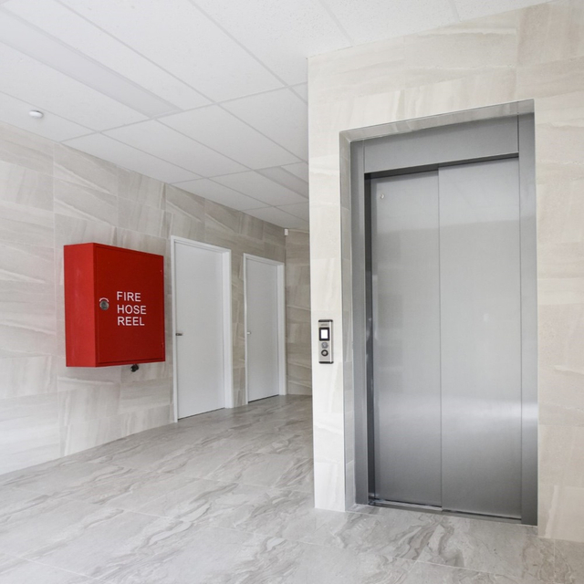 Apartment Elevator Manufacturer & Supplier in China-Delfar4