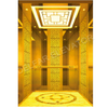 Ti-gold mirror passenger elevator for construction building