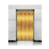 Special Design Customized Ti-gold Mirror Etched Stainless Steel Landing Door