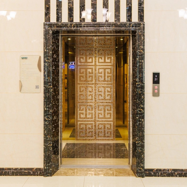 MRL Passenger Elevator Manufacturer & Supplier in China-Delfar4