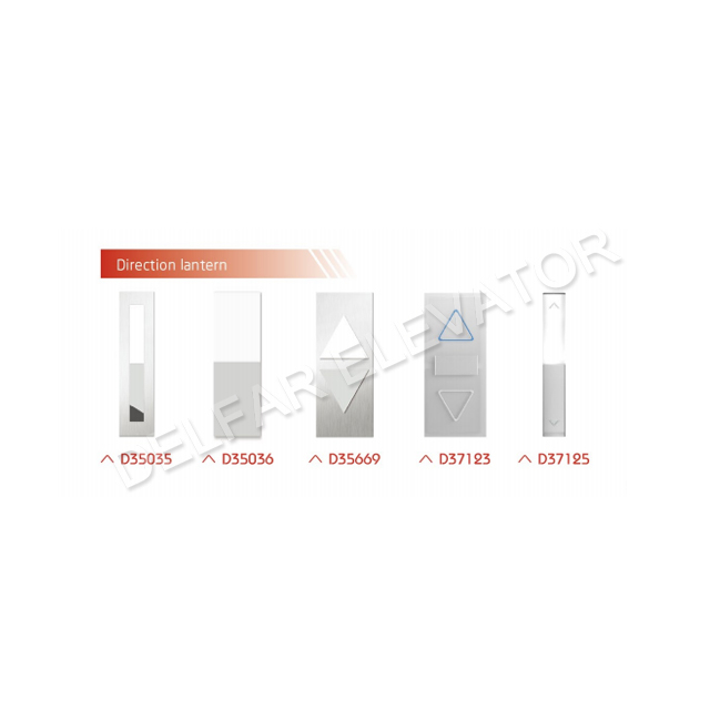 Delfar Decorated Observation Elevator D16018