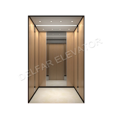 Delfar Customized Passenger Elevator D18981