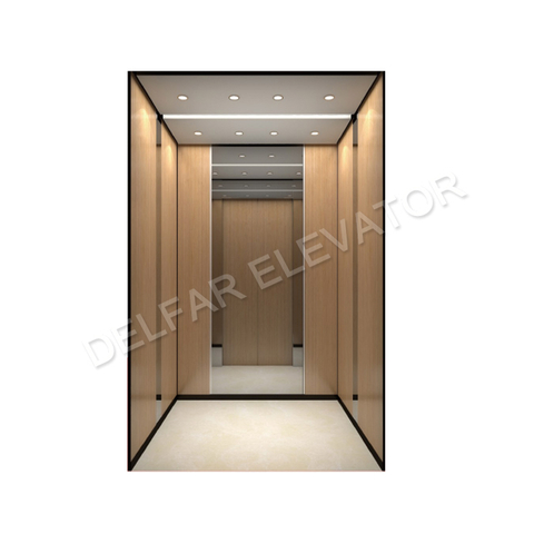 Delfar Customized Passenger Elevator D18981