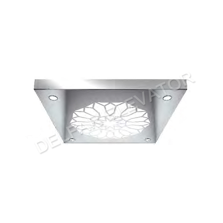 Special Desigh Ceiling For Passenger Elevator Cabin D58082