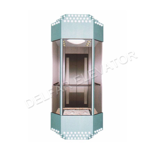 Delfar Customized Observation Elevator 