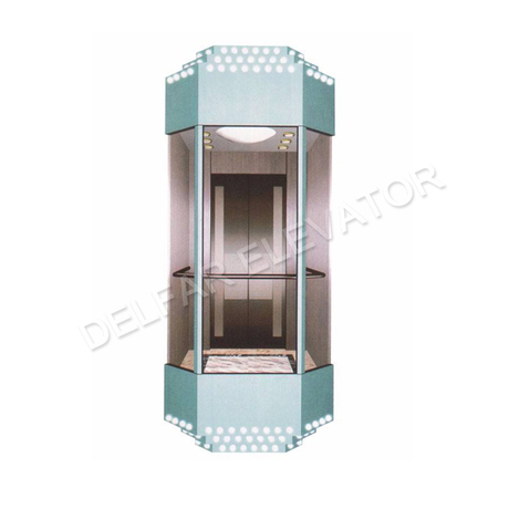 Delfar Customized Observation Elevator 