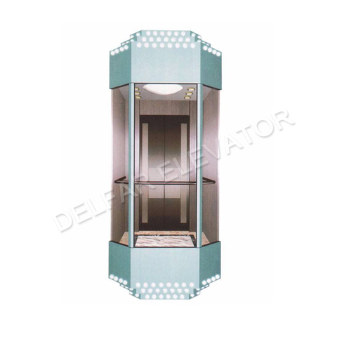 Delfar Customized Observation Elevator 