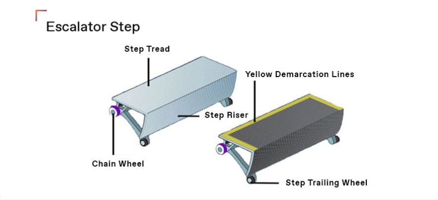 Escalator Step Width - escalator cost - Delfar