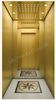 Ti-gold st.st. villa elevator D18629