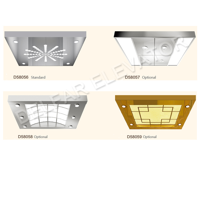 Hot Sale 630kg Home Elevator with Fresh Design