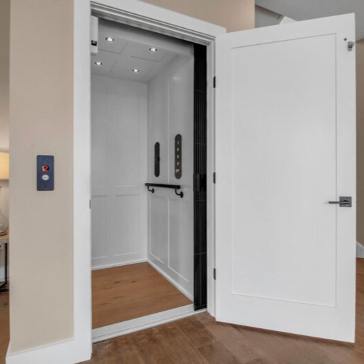 Home elevator-Delfar