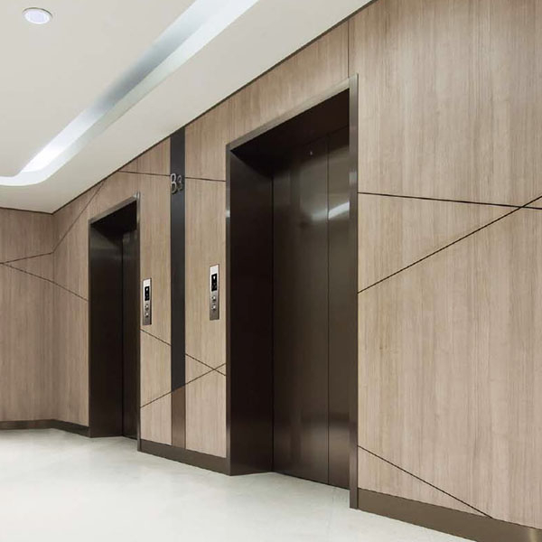 4-6 Passenger Lift Manufacturer & Supplier in China6